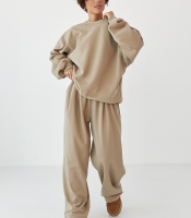 Теплий однотонний костюм зі світшотом та штанами зі складками