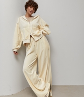 Велюровий спортивний костюм із худі та прямими штанами