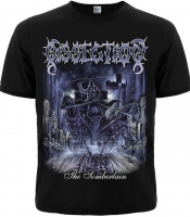 Футболка Dissection "The Somberlain"