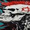 Футболка Punk's Not Dead (скелет с ирокезом)  RW-5324