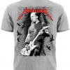 Футболка Metallica (guitar with ravens (меланж))  RW-779