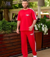 Костюм мужской спортивный из турецкой двунитки с футболкой Champion Boys и штанами на резинке летний