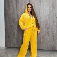 Спортивный костюм женский велюровый плюшевый с капюшоном и прямыми штанами весенне-летний