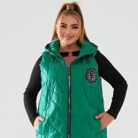 Жилет женский плащевка лаке стеганый с капюшоном и декоративной нашивкой весенний