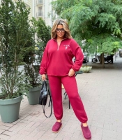 Костюм-двойка женский осенний из двунитки с худи на молнии и брюками прямого кроя
