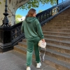 Спортивный костюм-двойка женский из велюра с капюшоном и декоративной прострочкой осенний  k-123282