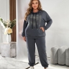 Спортивный костюм-двойка женский из двунитки с хлопком и полиэстером с худи и брюками на манжетах осенний  k-123967
