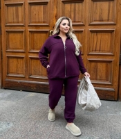 Спортивный костюм женский утепленный из флиса с кофтой на молнии и брюками на манжетах осенне-зимний