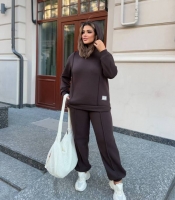 Костюм спортивный женский из трехнитки утеплённый с худи и брюками свободного кроя осенне-зимний