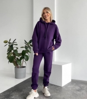 Спортивный костюм женский из трёхнитки на флисе с худи осенне-зимний