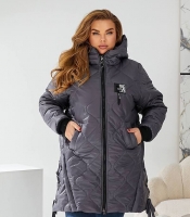 Женская куртка зимняя из плащевки Лаке на синтепоне 250 с капюшоном графитовая