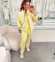 Спортивный костюм-тройка женский из двунитки и полиэстера: кофта на молнии с капюшоном брюки и жилетка утепленный демисезонный