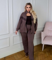 Спортивный костюм-двойка женский из двунитки оверсайз с кофтой на молнии и брюками с высокой посадкой демисезонный