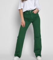 Зеленые джинсы эспаньолы 55107
