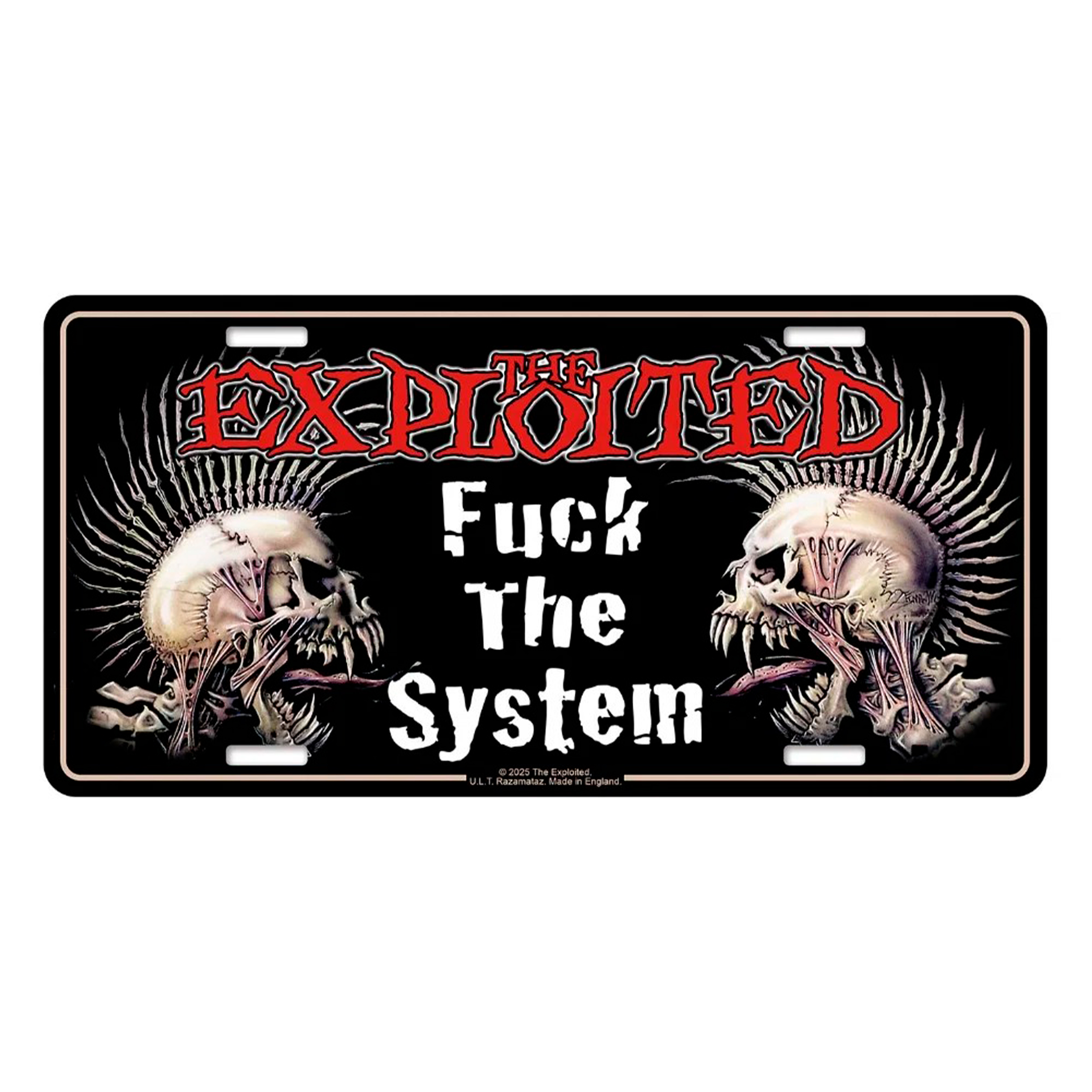 Подарункова табличка THE EXPLOITED - FUCK THE SYSTEM (npol-012)  RW-26772