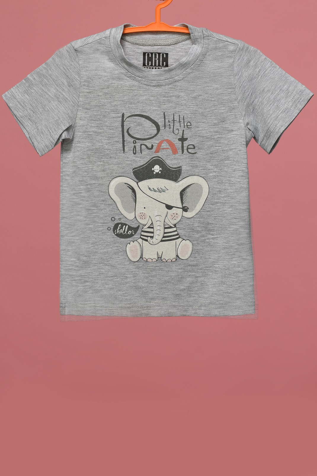 Детская футболка Standart з принтом Little Pirate 34484